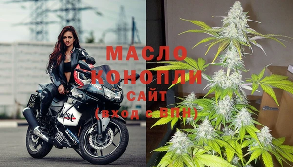 индика Богданович