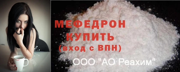 spice Богородицк